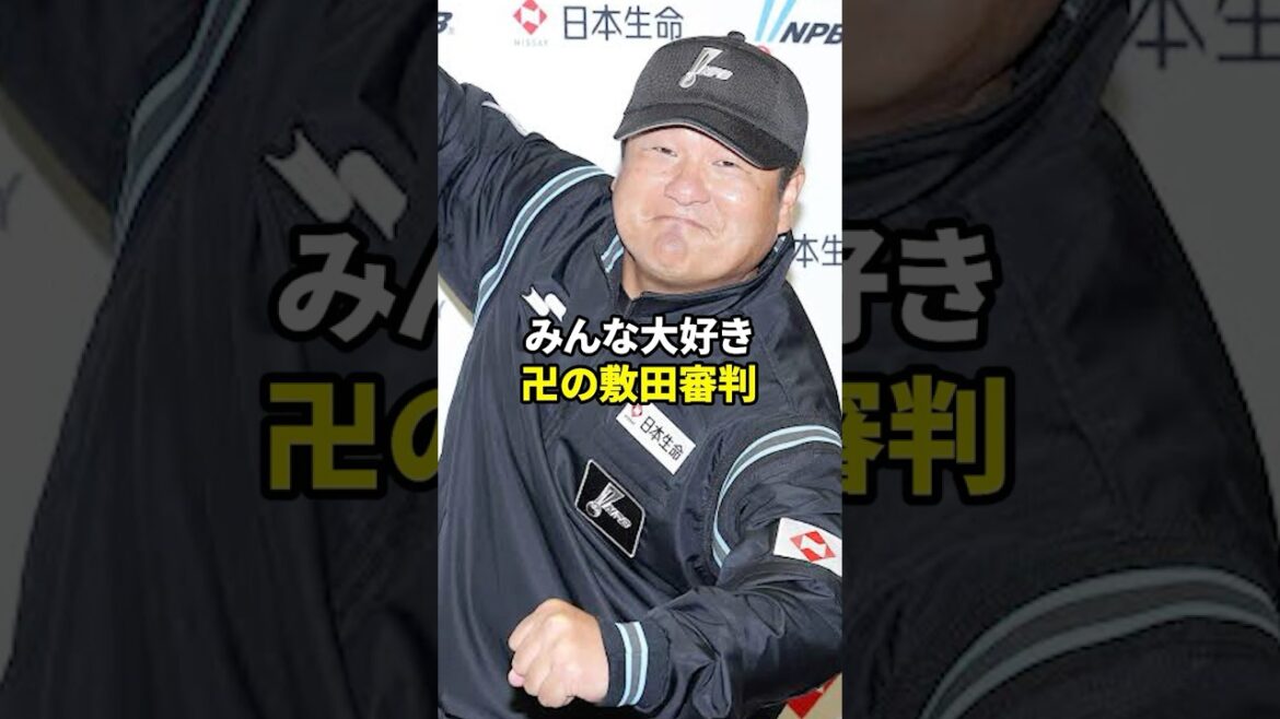 【野球】衝撃!敷田審判 倒れた日の真実#shorts #雑学 【野球】衝撃!敷田審判 倒れた日の真実#shorts #雑学