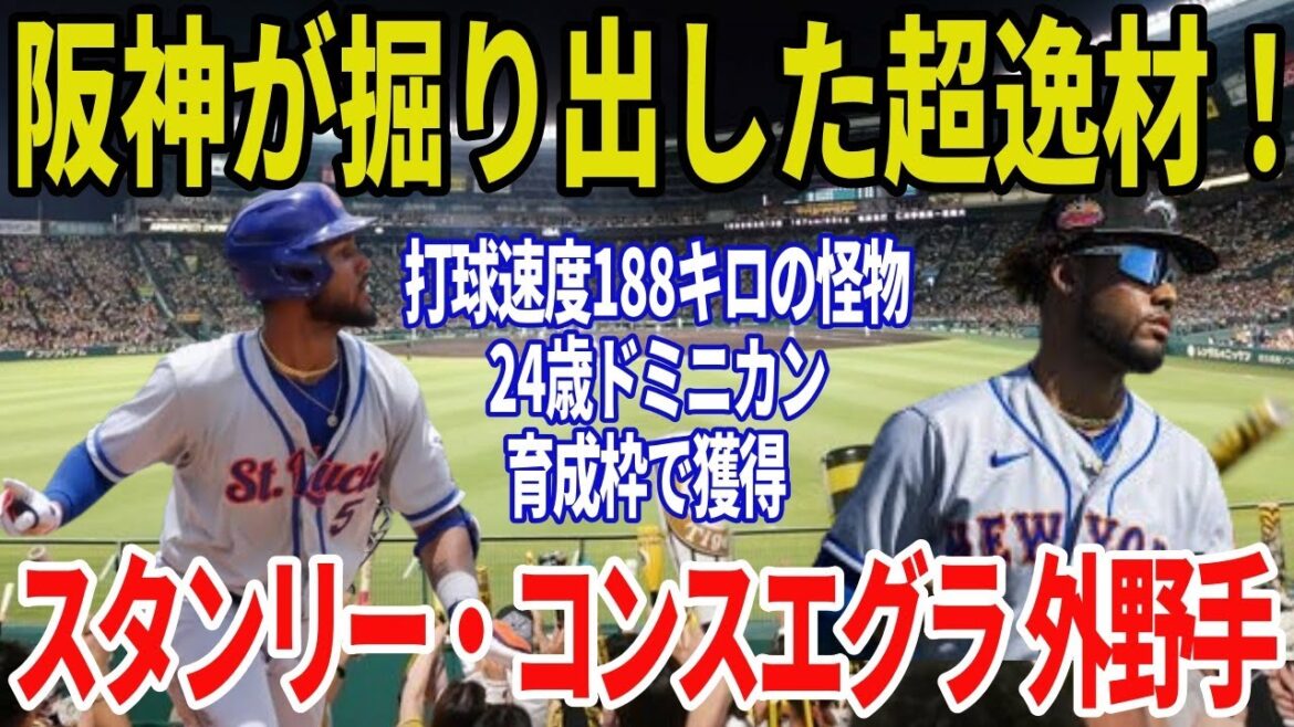 【奇跡の発掘劇】トライアウト出身の怪物！阪神新助っ人スタンリー・コンスエグラが育成契約で合意！打球速度188キロの衝撃デビューへ