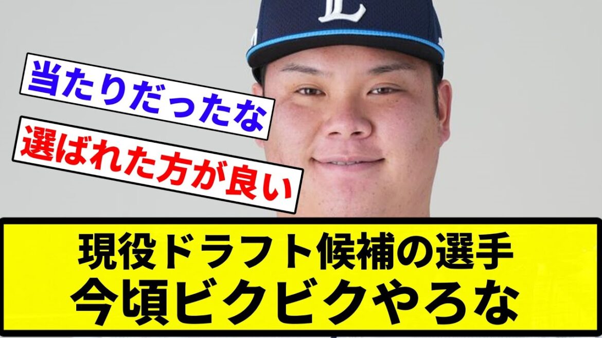 【現ドラすか？笑】現役ドラフト候補の選手、今頃ビクビクやろな【プロ野球反応集】【プロ野球反応集】