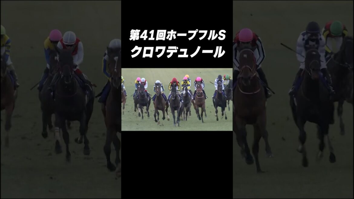 【2024】#ホープフルS #クロワデュノール #北村友一 【2024】#ホープフルS #クロワデュノール #北村友一