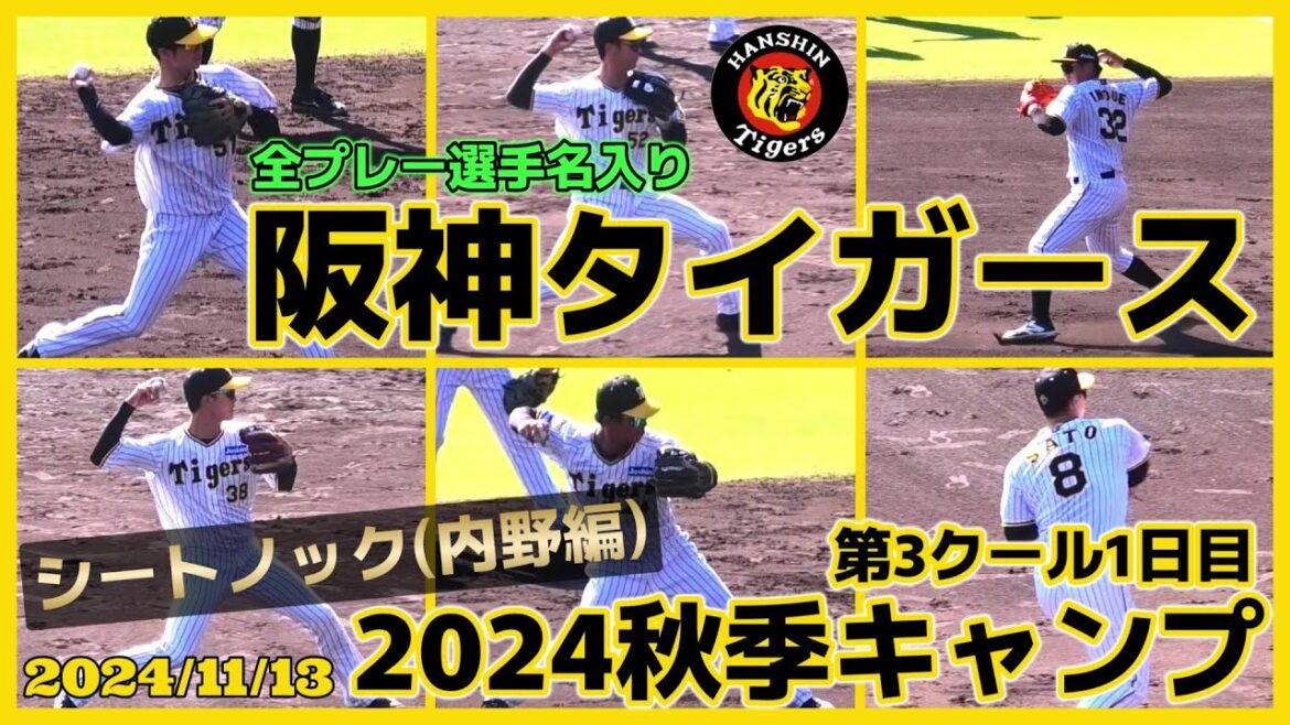 【2024阪神タイガース秋季キャンプ(第3クール1日目)/シートノック(内野編)≫新生阪神タイガース！ 佐藤 輝明、 小幡 竜平、 中野 拓夢、 山田 脩也ら】2024/11/13阪神タイガース