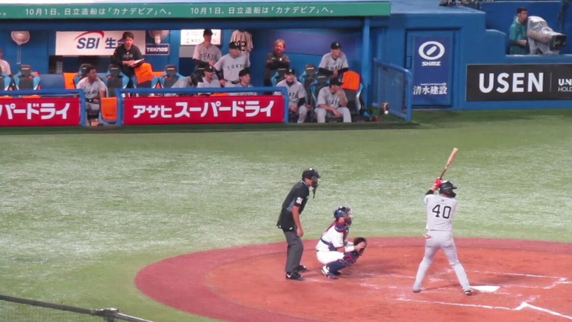 中山礼都のヒットに喜ぶベンチの丸佳浩など＜ ヤクルトスワローズ 対 読売ジャイアンツ 2024年9月29日＞