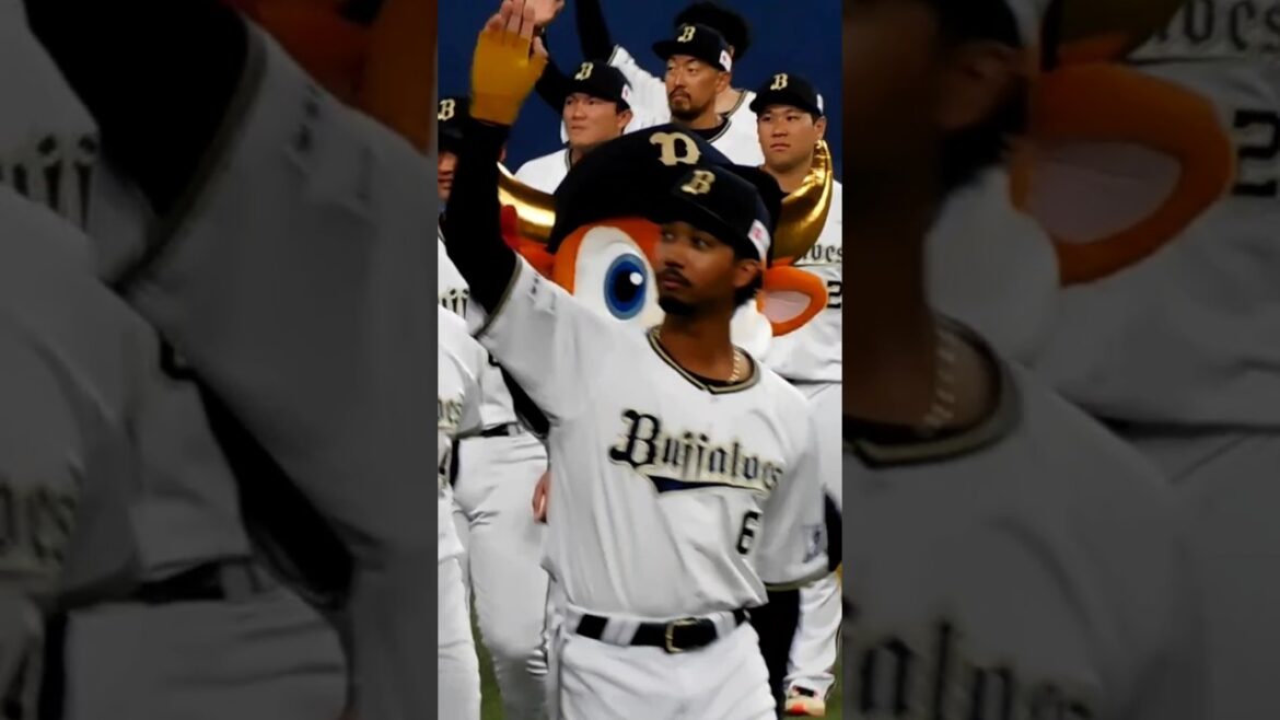 20241124ファンフェス24 #オリックスバファローズ #プロ野球 #山足達也 #宗佑磨#若月健矢