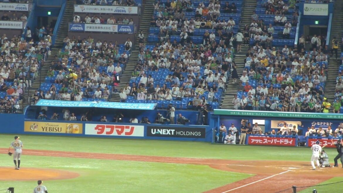 ヤクルト 中村悠平 デッドボール　ヤクルト vs 阪神　2024年9月6日(金) 神宮球場