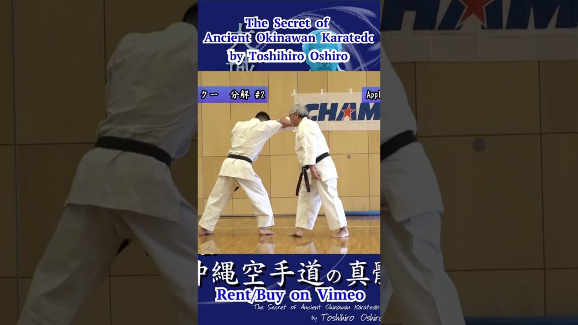 #Kusanku Applications2 #クーサンクー 分解2 The Secret of Ancient Okinawan Karatedo by ToshihiroOshiro #short