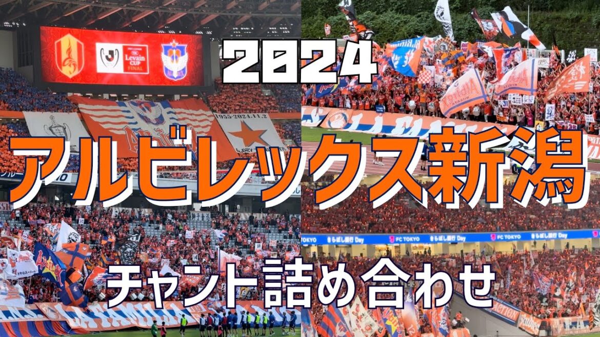 【作業/睡眠/聞き流し（チャント詰め合わせ）】アルビレックス新潟（2024）