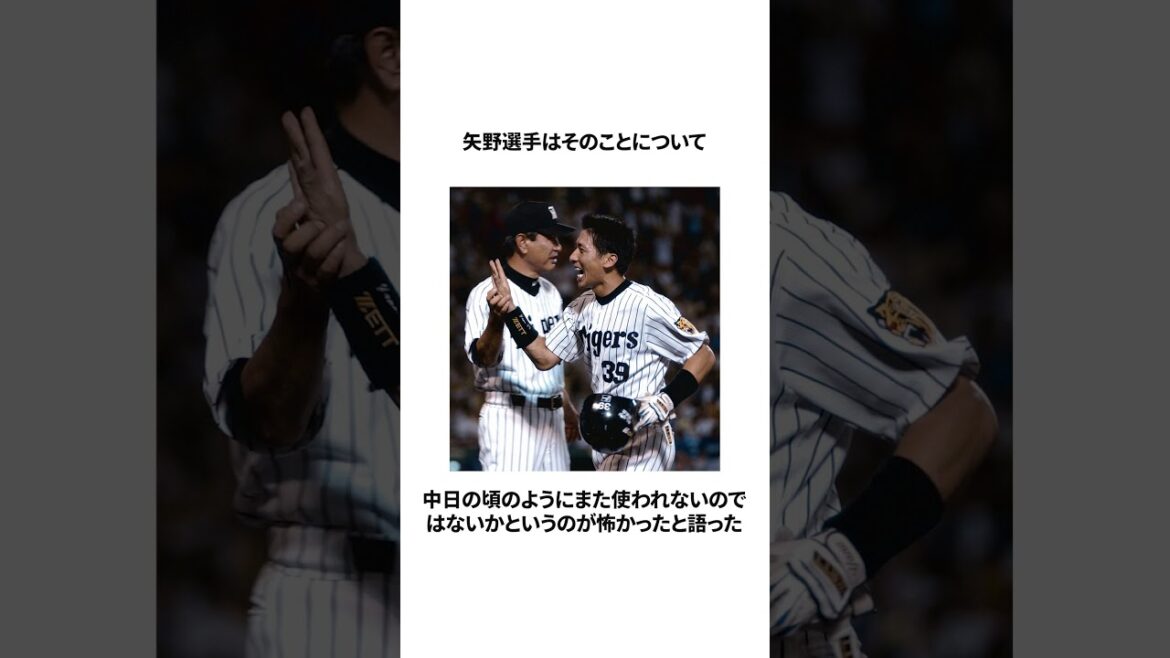 【猛虎の要】矢野輝弘の選手時代に関する雑学＃プロ野球＃shorts＃雑学