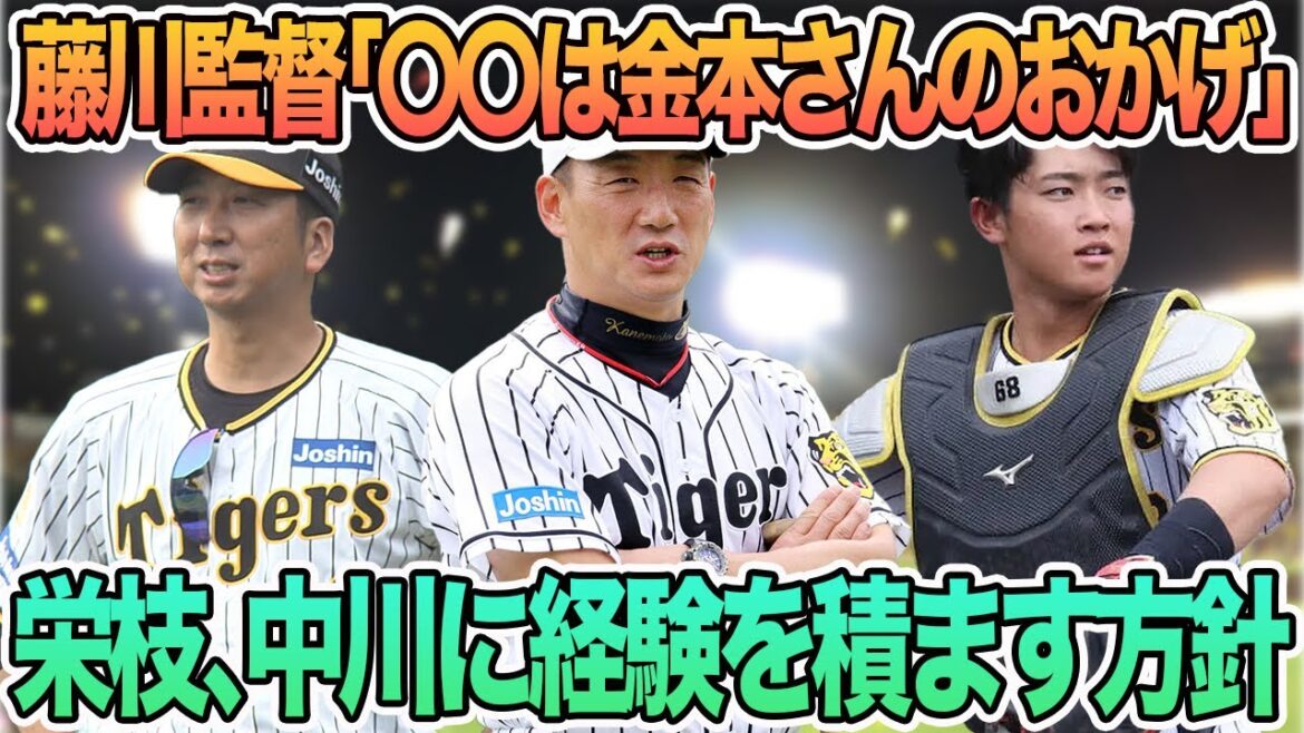 【藤川監督「〇〇は金本さんのおかげ」】榮枝、中川に経験を積ます方針 阪神タイガース 阪神 金本 藤川監督 栄枝 中川 【藤川監督「〇〇は金本さんのおかげ」】榮枝、中川に経験を積ます方針 阪神タイガース 阪神 金本 藤川監督 栄枝 中川