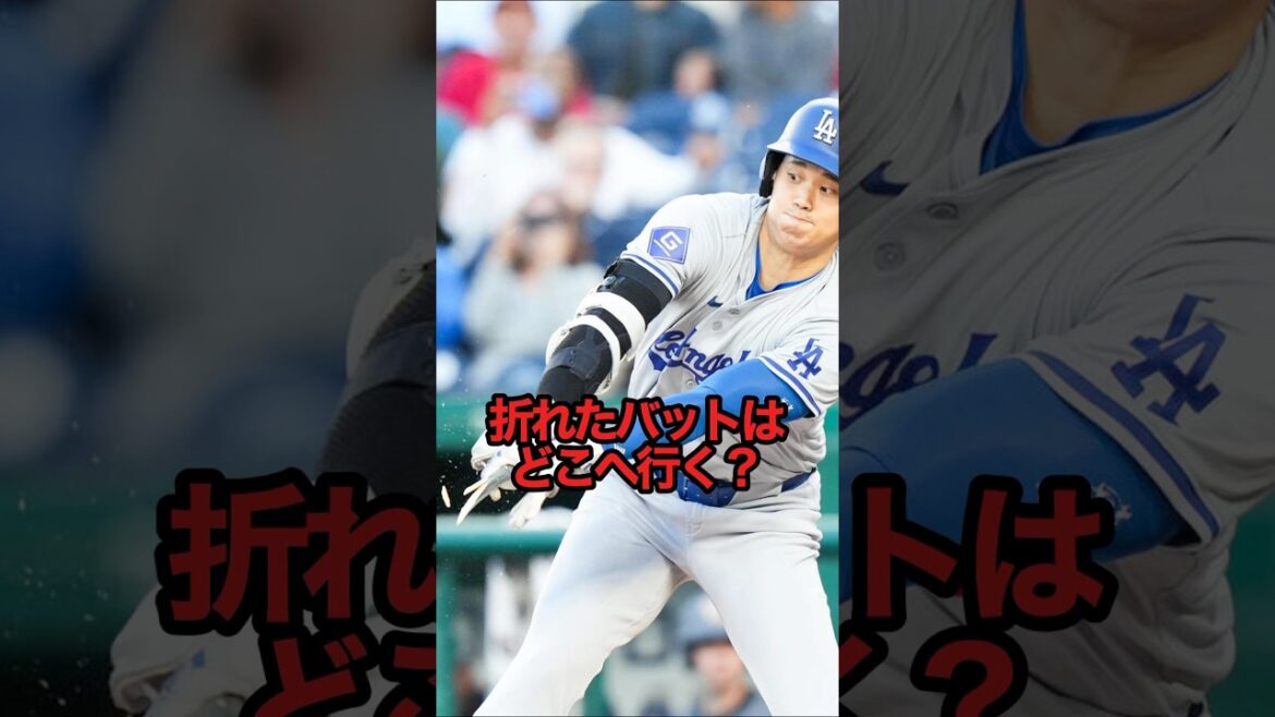 折れたバットはどこへ行く？#sports #shorts #プロ野球 #野球 #やきゅスト