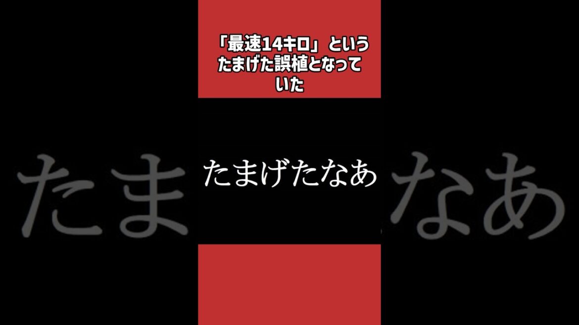 オースティンに関する雑学＃野球＃オースティン＃野球雑学