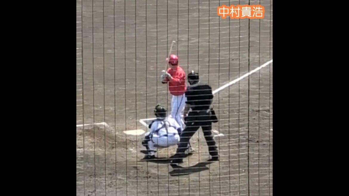 20240413　#中村貴浩　打撃ﾌｫｰﾑ　#shorts　広島東洋ｶｰﾌﾟ@ちゅ～るｽﾀｼﾞｱﾑ清水［ｳｴｽﾀﾝ･ﾘｰｸﾞ2軍戦］清水庵原球場