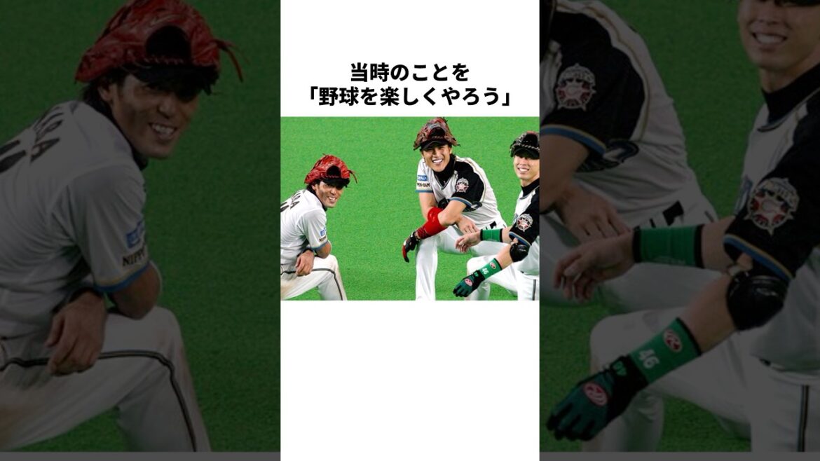 「楽しむ野球を知った」稲葉篤紀についての雑学 #野球 #野球雑学 #稲葉篤紀  #北海道日本ハムファイターズ