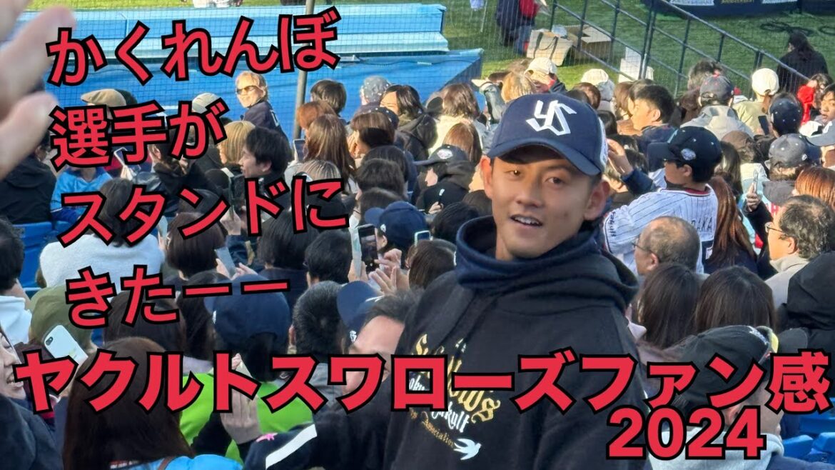 かくれんぼで、選手がスタンドにきた！ヤクルトスワローズファン感2024（2024年11月30日）