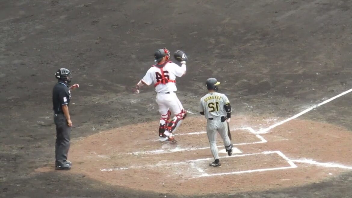 左右反転 坂本誠志郎が左打者だったら（巨人阪神オープン戦2024年2月23日）