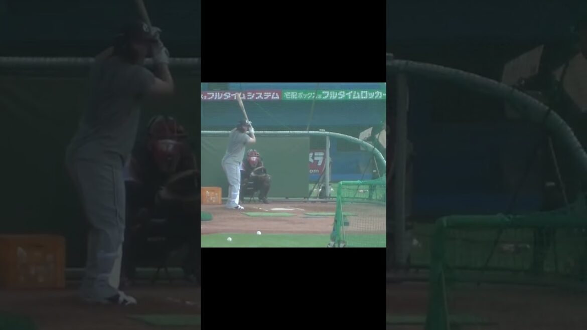重信慎之介 バッティング練習（ヤクルトスワローズ対 読売ジャイアンツ 2024年7月5日）