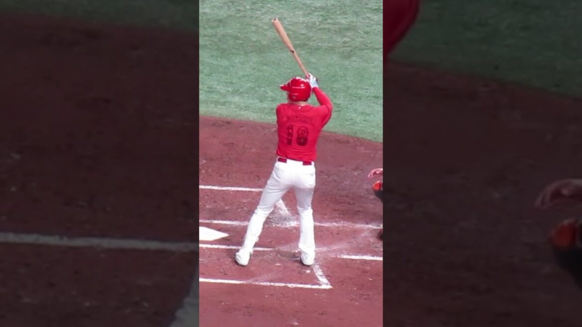 カープ 森下暢仁の打撃フォーム＜読売ジャイアンツ 対 広島カープ 2024年4月13日＞