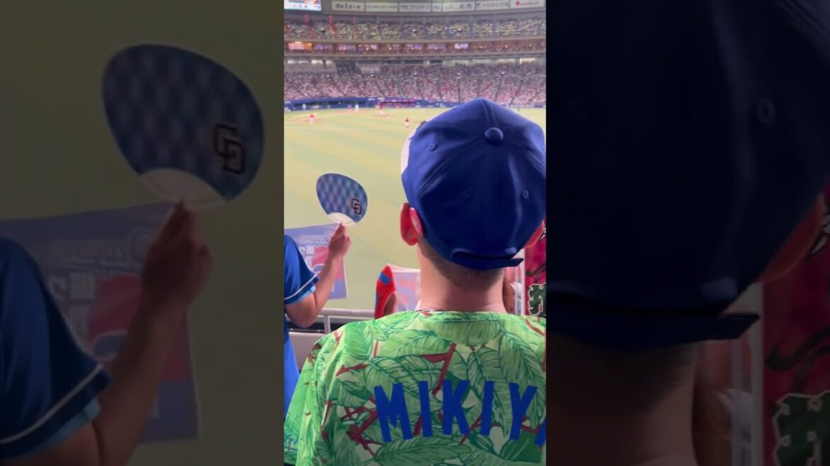 昂る一打で🔥挑め戦え振り抜け【昂弥！】　飛ばせ【昂弥！】　夢の放物線　昂る【オイ！】　一打で【オイ！】挑め戦え　（かっとばせー昂弥）ナゴヤドーム2024.7.7 広島戦2-1サヨナラ勝ち🥰