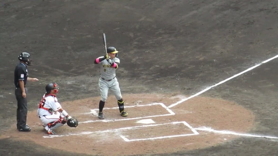 左右反転 佐藤輝明が右打者だったら（巨人阪神オープン戦2024年2月23日）