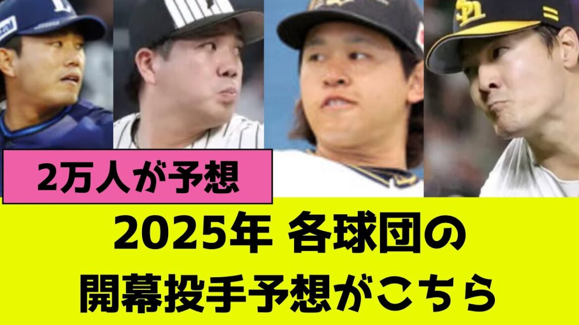 2025年プロ野球12球団の開幕投手、残りの予想がこちら