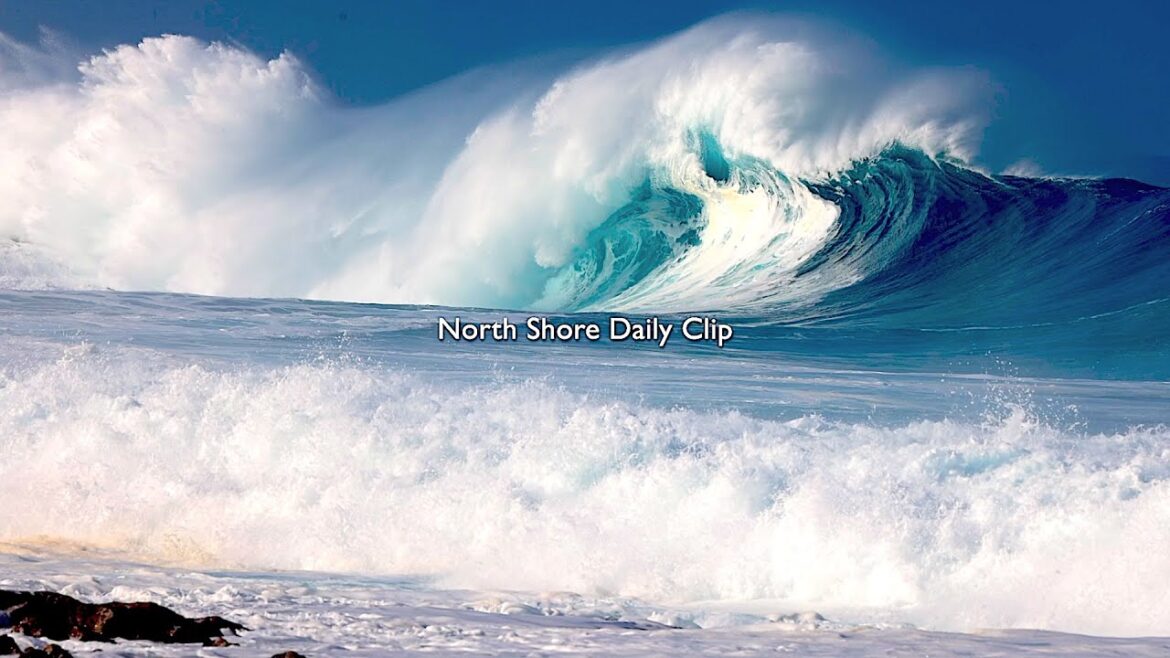 『North Shore Daily Clip』2024.12.27 @ Log Cabin