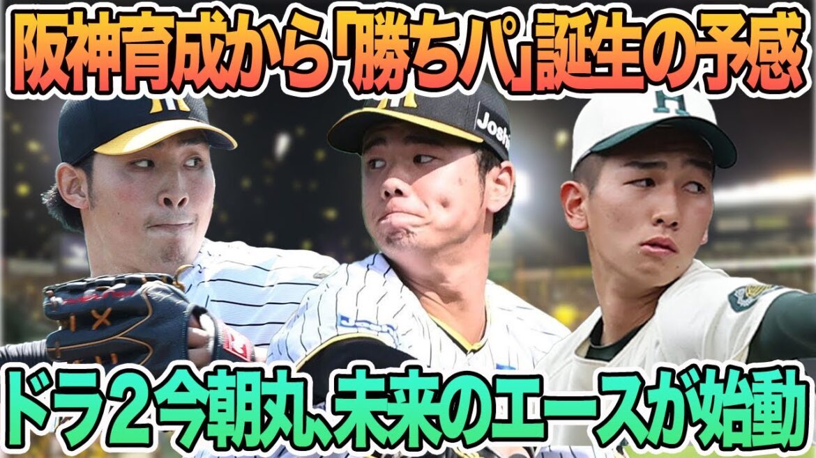 【阪神育成から“勝ちパ”誕生の予感】ドラ2今朝丸未来のエース候補が始動、ドラ１伊原が母校グラウンドで自主トレ公開　　阪神タイガース　阪神　佐藤蓮　川原陸　今朝丸　伊原