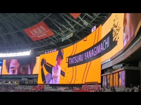 20230624 柳町達 登場曲【「花唄」/GReeeeN】 7回ウラ 福岡ソフトバンクホークス ギーマ@みずほPayPayドーム福岡・外野ライト 20230624 柳町達 登場曲【「花唄」/GReeeeN】 7回ウラ 福岡ソフトバンクホークス ギーマ@みずほPayPayドーム福岡・外野ライト