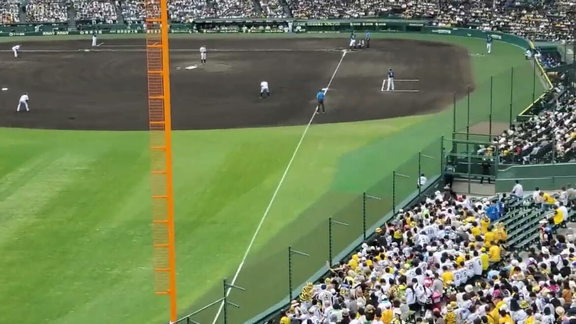 20240608　打者は未勝利の髙橋光成！【投手汎用応援歌】　3回表　埼玉西武ﾗｲｵﾝｽﾞ@阪神甲子園球場･ﾚﾌﾄ外野 日本生命ｾ･ﾊﾟ交流戦