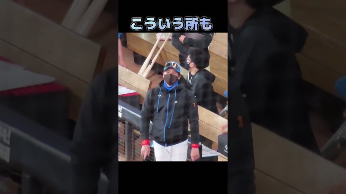 コーチ達の指差し凄っアピール！#新庄監督#日ハム#エスコン