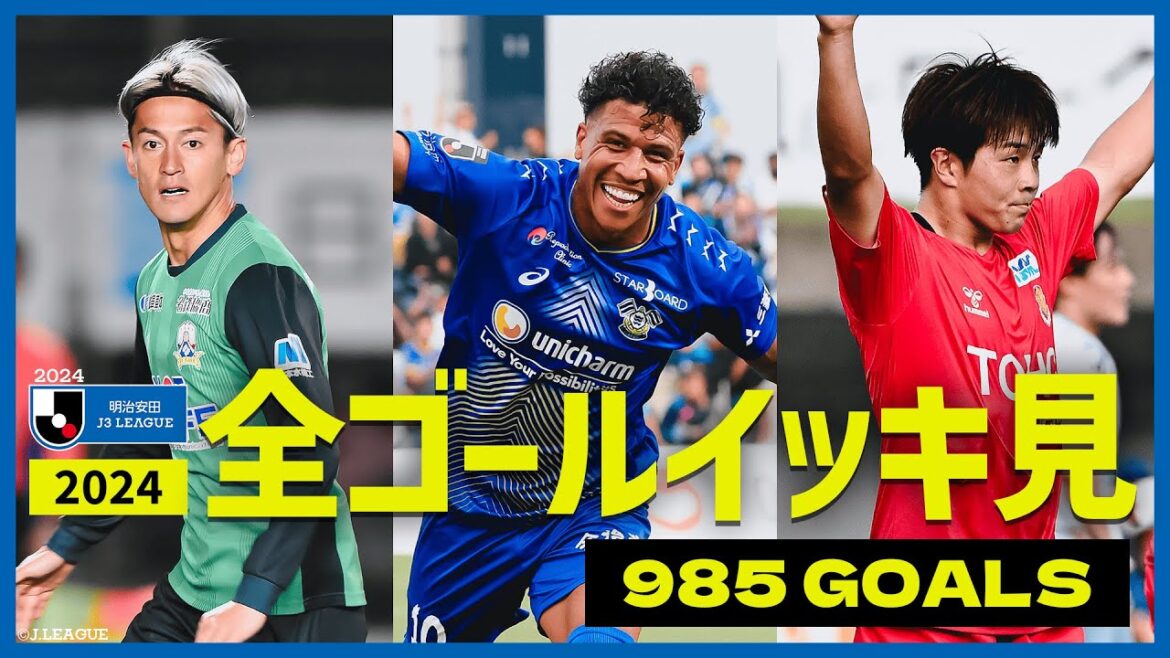 【985ゴール】2024明治安田Ｊ３リーグ 全ゴールまとめ