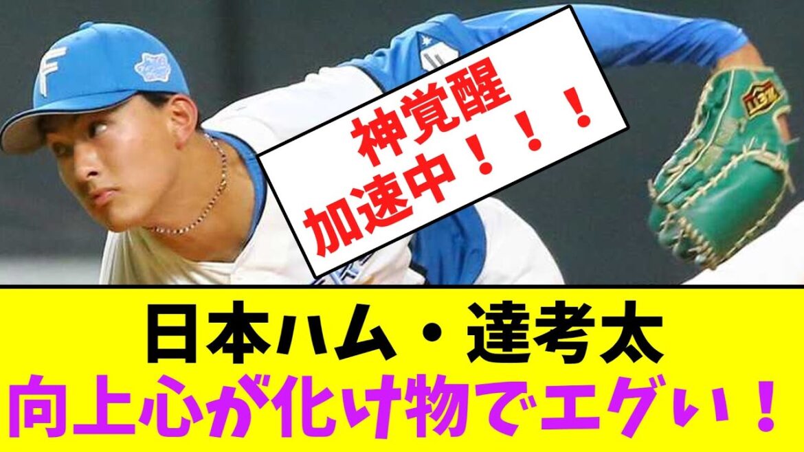 日本ハム・達考太、向上心が化け物でエグい！【なんJなんG】【2ch5ch】