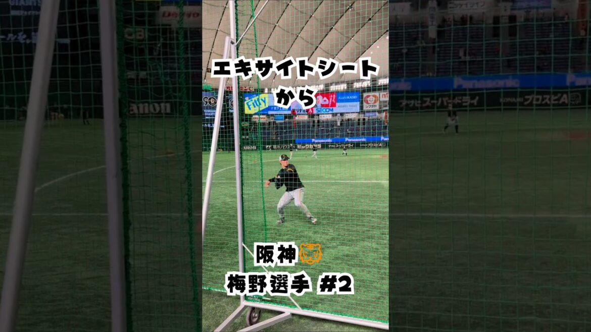 阪神🐯梅野選手のキャッチボール⚾ #shorts #野球 #阪神タイガース #梅野隆太郎 #キャッチボール #プロ野球