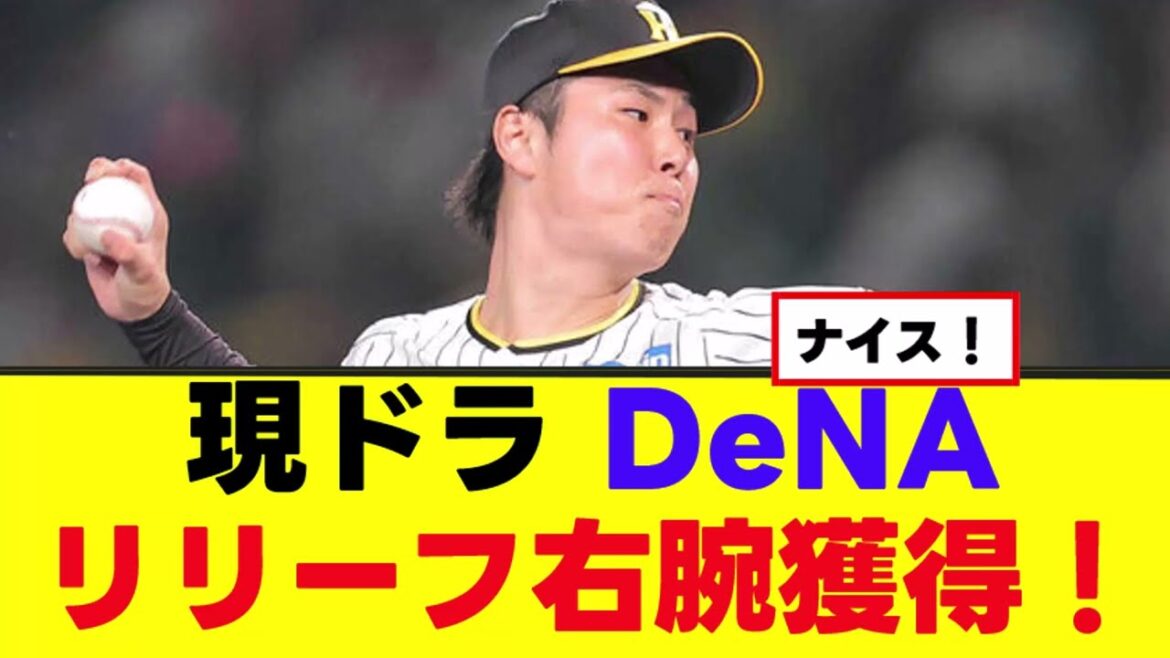 【現役ドラフト】DeNAは阪神・浜地真澄を獲得　通算126試合登板の救援右腕