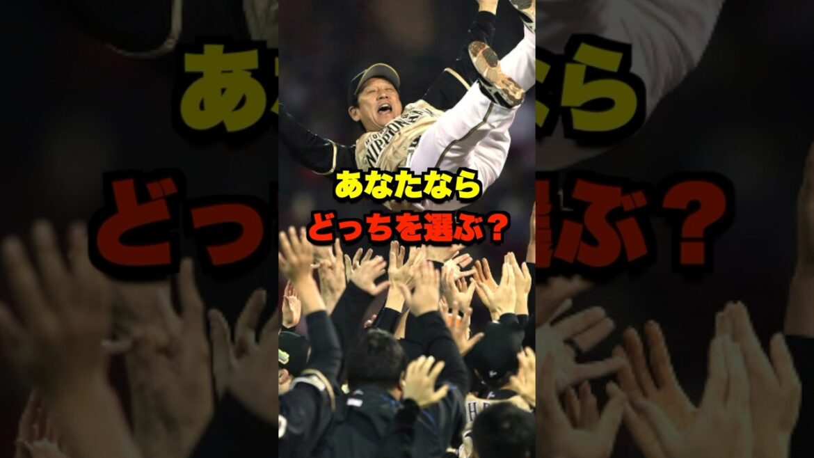 あなたならどっちを選ぶ？ #野球 #プロ野球 #野球ネタ #日本ハムファイターズ #広島カープ