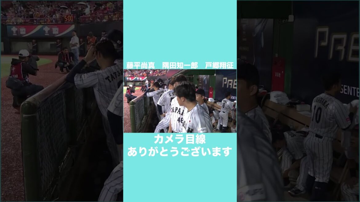 カメラが気になる藤平尚真　隅田知一郎　戸郷翔征