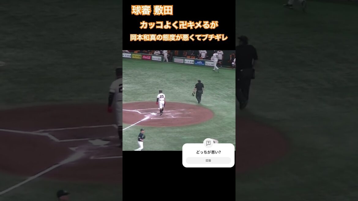岡本和真 対 球審敷田 2024/9/14 巨人ヤクルト #プロ野球 #岡本和真 #敷田 #審判