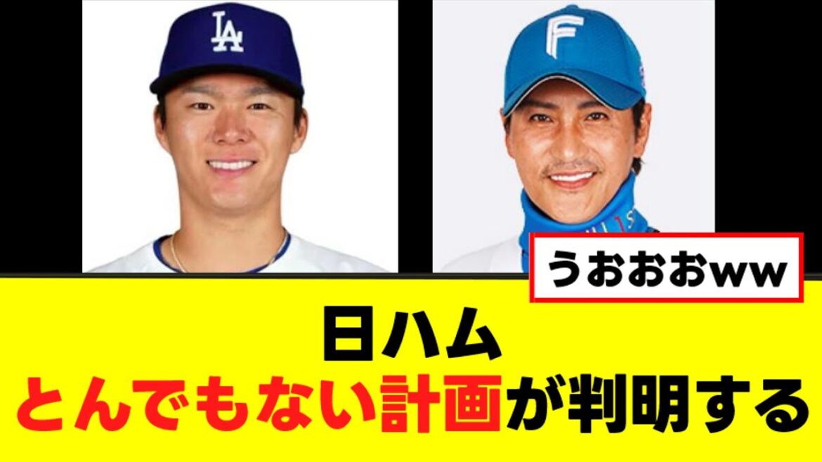 【日本ハム】春季キャンプ、とんでもない計画が判明するww 【日本ハム】春季キャンプ、とんでもない計画が判明するww