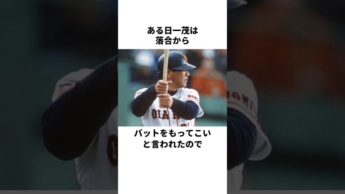 「金属音のする木製バット」落合博満と長嶋一茂についての雑学 #野球 #野球雑学 #落合博満 #長嶋一茂