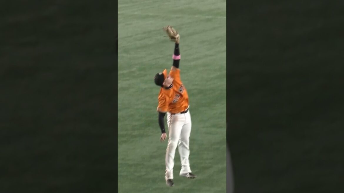 【読売ジャイアンツ】丸佳浩が飛ぶ！#プロ野球