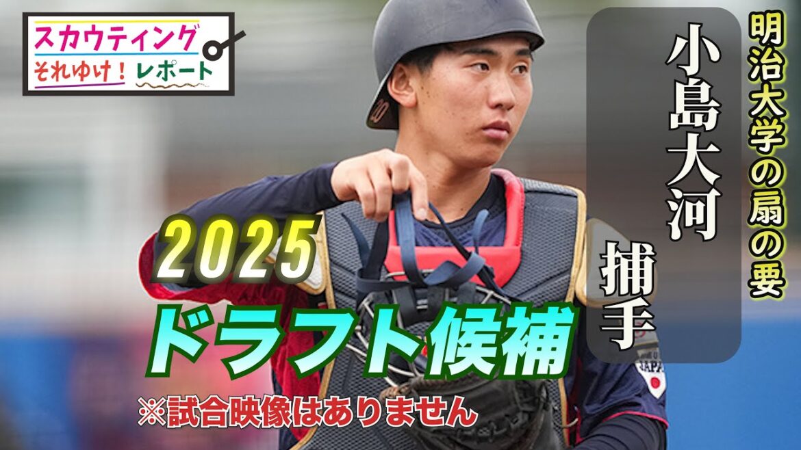 【阪神タイガース】それゆけ！スカウティングレポート2025＜明治大学＞ 小島大河 捕手 大学生ナンバーワン捕手！左打ちの強肩好打のプロ注目の逸材は東海大大相模で二塁手だったのだが、急遽捕手に転向した！