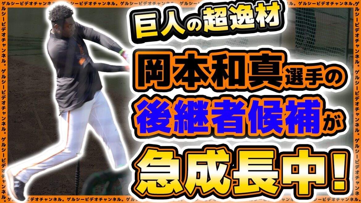 巨人の超逸材は岡本和真選手の後継者!?次期4番候補が急成長中!ティマ2024年ハイライト|読売ジャイアンツ球場|プロ野球ニュース 巨人の超逸材は岡本和真選手の後継者!?次期4番候補が急成長中!ティマ2024年ハイライト|読売ジャイアンツ球場|プロ野球ニュース
