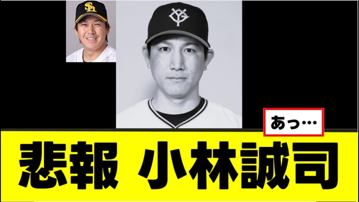 【悲報】小林誠司、甲斐拓也FAについて語る 【悲報】小林誠司、甲斐拓也FAについて語る