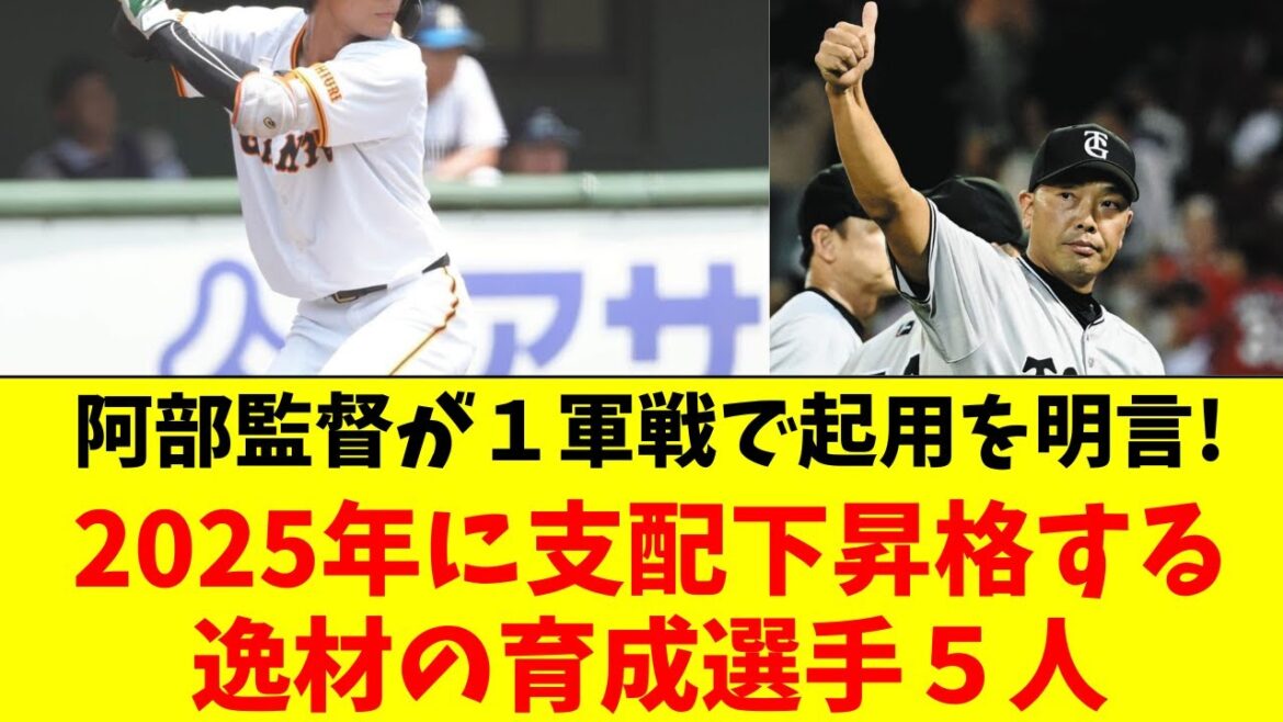 巨人・阿部監督が暴露！2025年支配下昇格の育成選手５人