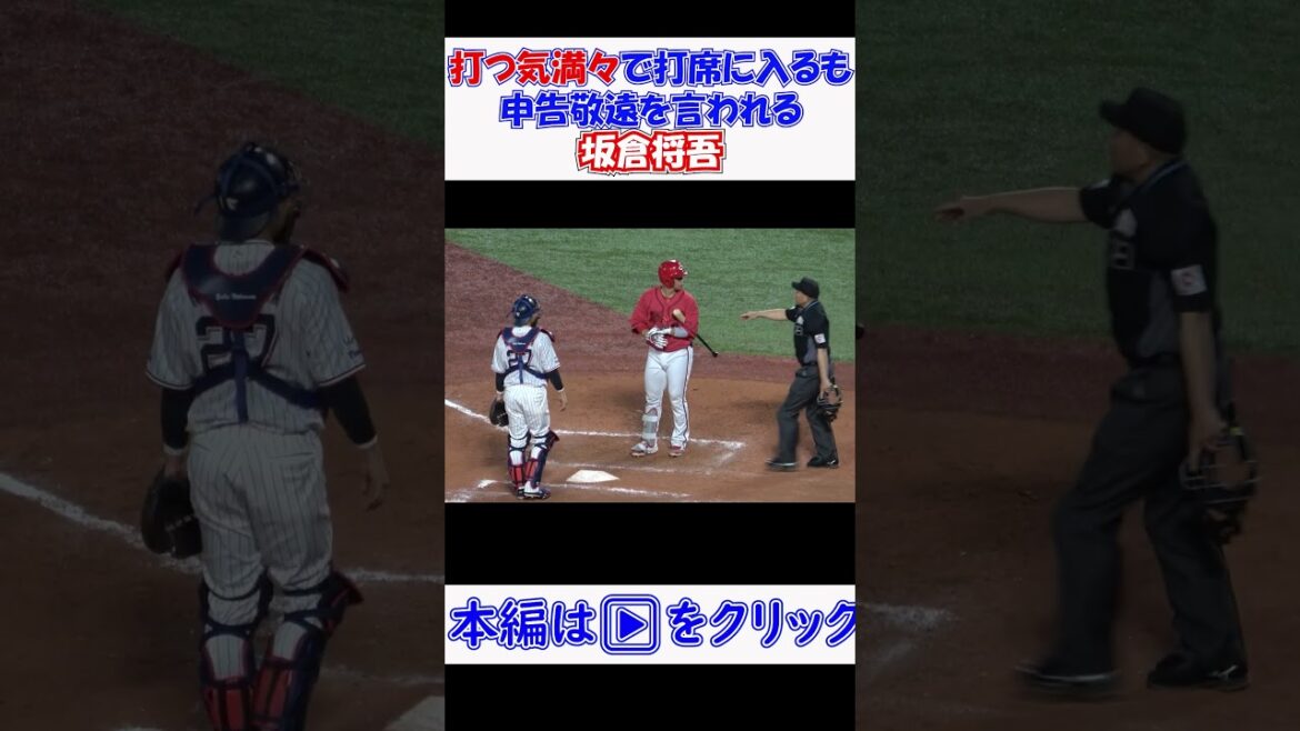 【坂倉将吾】打つ気満々で打席に入るも申告敬遠を言われビックりする 現地映像 #野球