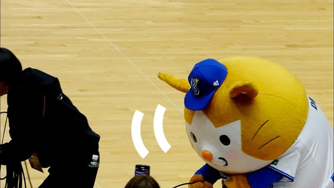 かわいい！！突然お手伝いをし始めるスターマン🐹【横浜DeNAベイスターズ 2024/12/14】