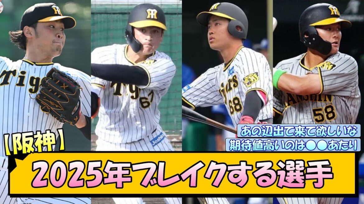 【阪神】2025年ブレイクする選手【なんJ/2ch/5ch/ネット 反応 まとめ/阪神タイガース/藤川球児】