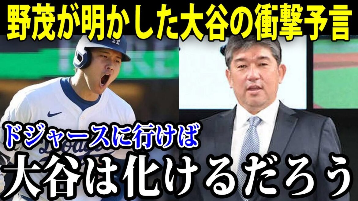 「プロなんだから大谷君も…」大谷がドジャースで活躍することを野茂英雄氏は予言していた!?日本人メジャーリーガーのパイオニアが語る大谷の異常性とは…【海外の反応/MLB/大谷翔平】【総集編】