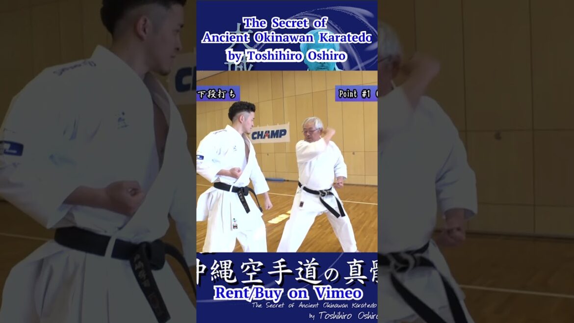 #Gedan Uchi #下段打ち　The Secret of Ancient Okinawan Karatedo by Toshihiro Oshiro #short