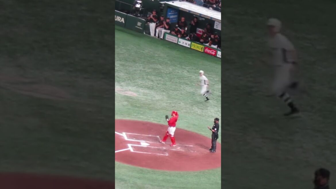 延長 坂本勇人フォアボールで喜ぶ巨人ベンチ＜読売ジャイアンツ 対 広島カープ 2024年4月13日＞