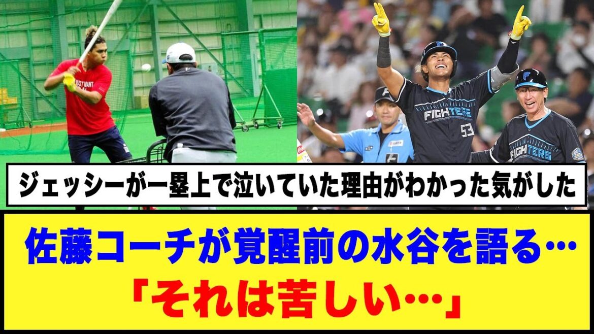 【日本ハム】佐藤コーチが覚醒前の水谷を語る…「それは苦しい…」#日本ハムファイターズ #水谷瞬 #佐藤友亮