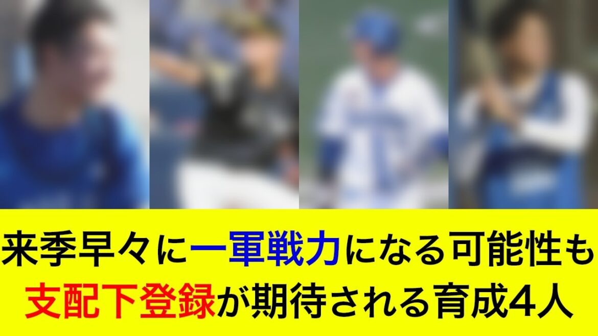 来季早々に一軍戦力になる可能性も?支配下登録が期待される育成4選手【横浜DeNAベイスターズ】 来季早々に一軍戦力になる可能性も?支配下登録が期待される育成4選手【横浜DeNAベイスターズ】